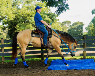 Challenge A La Carte: Untrained Horse Example Videos
