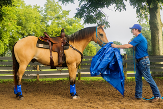 Challenge A La Carte: Untrained Horse Example Videos