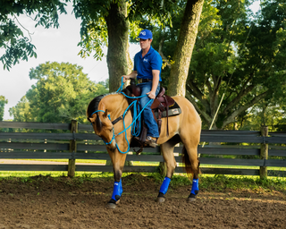 Challenge A La Carte: Untrained Horse Example Videos
