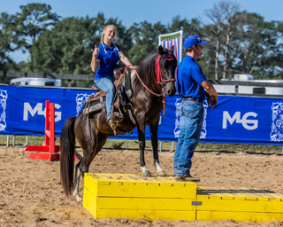 Challenge A La Carte: Horse Help Club Videos