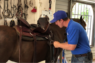Challenge A La Carte: Adv. Tack & Tools Videos