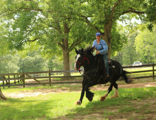 Challenge A La Carte: Join Horse Talk Live
