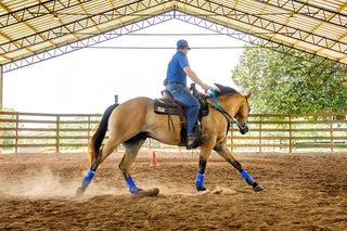 Michael Gascon actively working on a horse in an arena, demonstrating training techniques and skill development in a controlled environment.