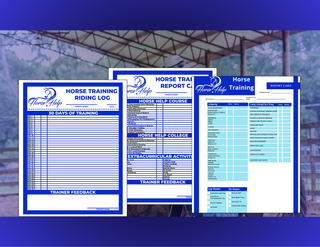 Challenge A La Carte: Report Cards