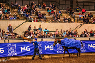 Michael Gascon actively teaching participants and auditors during a Gascon horsemanship clinic, sharing knowledge and skills in equestrian training.
