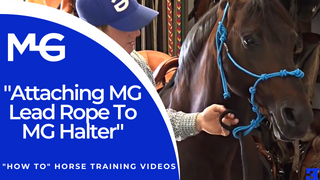 Michael Gascon setting up the MG Halter - Thumbnail for 'How To' Horse Training Video, demonstrating the process of attaching the MG Lead Rope to the MG Halter.