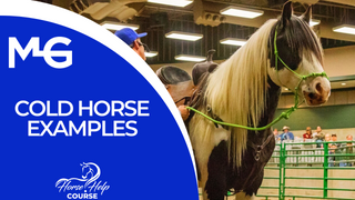 Thumbnail for 'Cold Horse Examples' video in the Horse Help Course. The image features Michael Gascon demonstrating techniques and examples for working with cold or unresponsive horses during a session at a Gascon Horsemanship clinic.