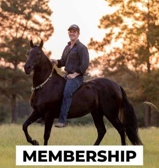 Michael Gascon posing gracefully with a horse, showcasing a harmonious connection and the bond between the equestrian and the equine partner.