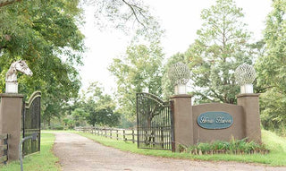 Entrance gate of Horse Haven Ranch, welcoming visitors to the equestrian facility.