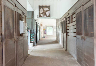 Explore the well-maintained stables at Horse Haven Ranch, offering a comfortable and secure home for the horses. The stables are equipped with modern facilities and provide a safe environment for horse care and training.