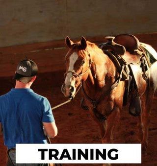 Michael Gascon actively working on a horse in an arena, demonstrating training techniques and skill development in a controlled environment.