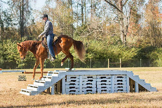 Michael Gascon guiding a horse through an obstacle in the obstacle course, demonstrating skillful horsemanship and teamwork in a challenging environment.