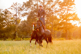 Michael Gascon showcasing a spectacular Roman Riding act, skillfully riding two horses simultaneously, demonstrating precision and horsemanship expertise.