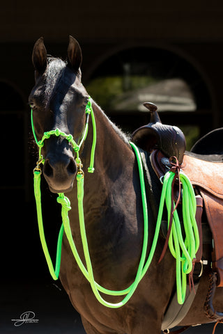 Full set of MG halter, lead rope, and reins in green, showcasing equestrian equipment designed by Michael Gascon.