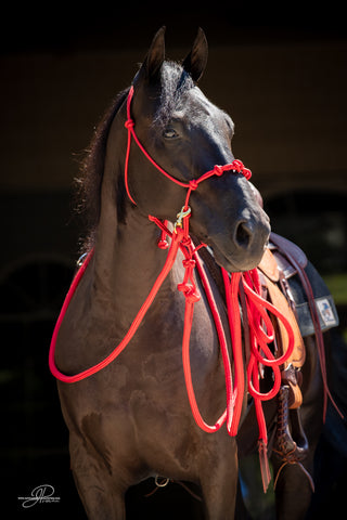 Image of the MG rope halter, lead rope, and reins full set in red - a stylish and functional equestrian ensemble. Enhance your horsemanship with this sleek and reliable equipment from Michael Gascon.