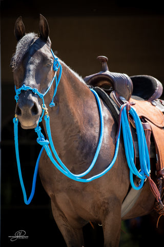 Image of the MG halter, lead rope, and reins full set in blue - a stylish and functional equestrian ensemble. Enhance your horsemanship with this sleek and reliable equipment from Michael Gascon.