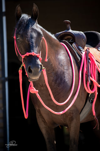 Image of the MG halter, lead rope, and reins full set in pink - a stylish and functional equestrian ensemble. Enhance your horsemanship with this sleek and reliable equipment from Michael Gascon.