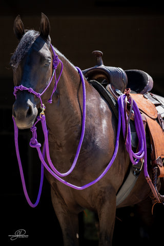 Image of the MG halter, lead rope, and reins full set in purple - a stylish and functional equestrian ensemble. Enhance your horsemanship with this sleek and reliable equipment from Michael Gascon.