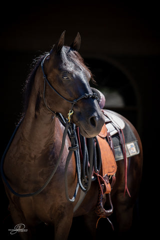 Image of the MG halter, lead rope, and reins full set in black - a stylish and functional equestrian ensemble. Enhance your horsemanship with this sleek and reliable equipment from Michael Gascon.