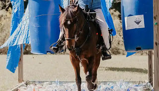 Image of a retreat participant confidently guiding her horse through an obstacle, demonstrating skill and partnership during the retreat activities.