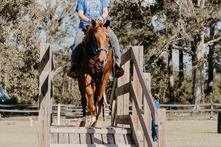 A customer confidently crossing a bridge in the obstacle course during a Horse Help retreat, building trust and overcoming challenges with their horse.