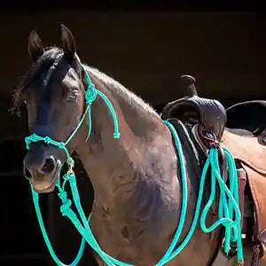 Image of an elegant horse adorned with the MG aqua lead rope, halter and reins, showcasing a stylish and sophisticated equestrian look.
