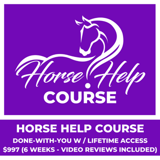 An image showcasing the Horse Help Course 'Done-With-You' option. This option offers lifetime access and is valued at $997. It includes 6 weeks of video reviews, providing participants with personalized feedback and guidance. The image displays a user-friendly online platform, suggesting an interactive and supportive learning environment for students.