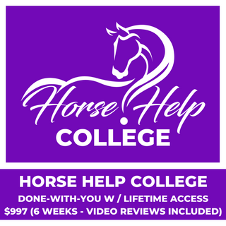 An image showcasing the Horse Help College 'Done-With-You' option. This option offers lifetime access and is valued at $997. It includes 6 weeks of video reviews, providing participants with personalized feedback and guidance. The image displays a user-friendly online platform, suggesting an interactive and supportive learning environment for students enrolled in the program.