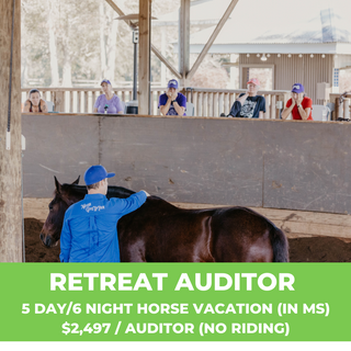 Promotional image featuring Michael Gascon during a session at a Horse Help Retreat. Join us for a 5-day/6-night horse vacation for a retreat auditor valued at $2,497 (excluding riding). Immerse yourself in equine experiences and rejuvenate in the company of like-minded enthusiasts.