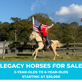 Promotional image featuring Legacy horses for sale, including 2-year-olds to 6-year-olds, with prices starting at $20,000. Discover the grace and potential of these remarkable equine companions.