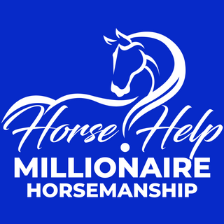 Horse Help Millionaire Horsemanship