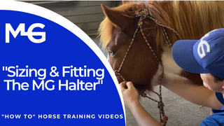Michael Gascon setting up the MG Halter - Thumbnail for 'How To' Horse Training Video, demonstrating the proper sizing and fitting techniques for the MG Halter.