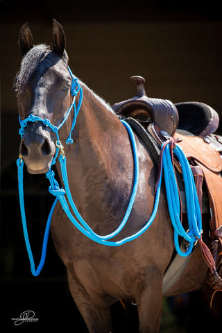 Image of the MG halter, lead rope, and reins full set in blue - a stylish and functional equestrian ensemble. Enhance your horsemanship with this sleek and reliable equipment from Michael Gascon.