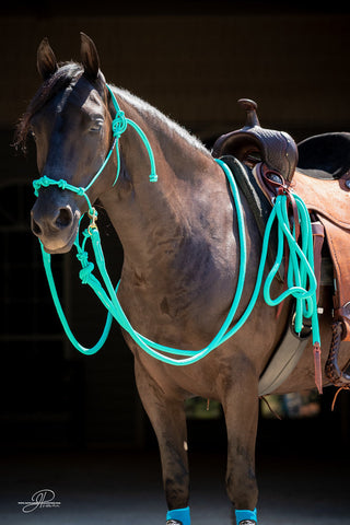 Image of the MG halter, lead rope, and reins full set in aqua - a stylish and functional equestrian ensemble. Enhance your horsemanship with this sleek and reliable equipment from Michael Gascon.