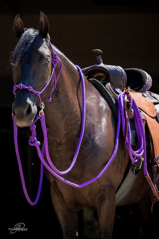 Upgrade To VIP For The Horse Help Challenge