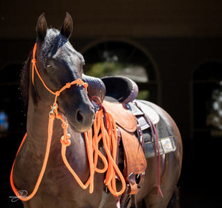 Orange Halter Set