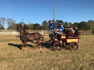 Image of Michael Gascon joyfully riding a horse carriage, accompanied by the Gascon Horsemanship staff, capturing a moment of camaraderie and shared passion for horsemanship within the team.