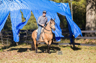 Michael Gascon guiding a horse through an obstacle, demonstrating training and skill development in an equestrian setting.