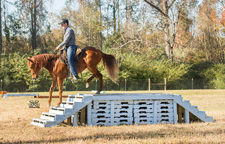 Michael Gascon guiding a horse through an obstacle in the obstacle course, demonstrating skillful horsemanship and teamwork in a challenging environment.