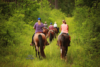 Michael Gascon leading a group of clients on a scenic trail ride, fostering camaraderie and enjoying the equestrian experience together.