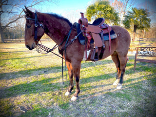 Biothane German Martingale - a durable and adjustable training aid for horse riders seeking better control and communication with their horse.