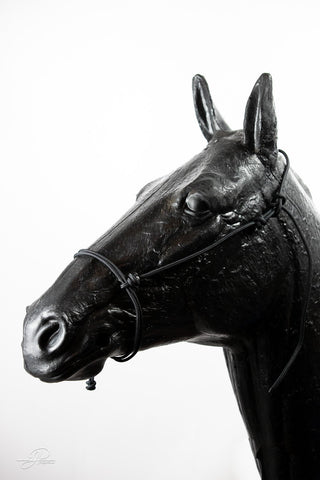 An black-colored MG Halter, a high-quality and durable tool for effective horse training.