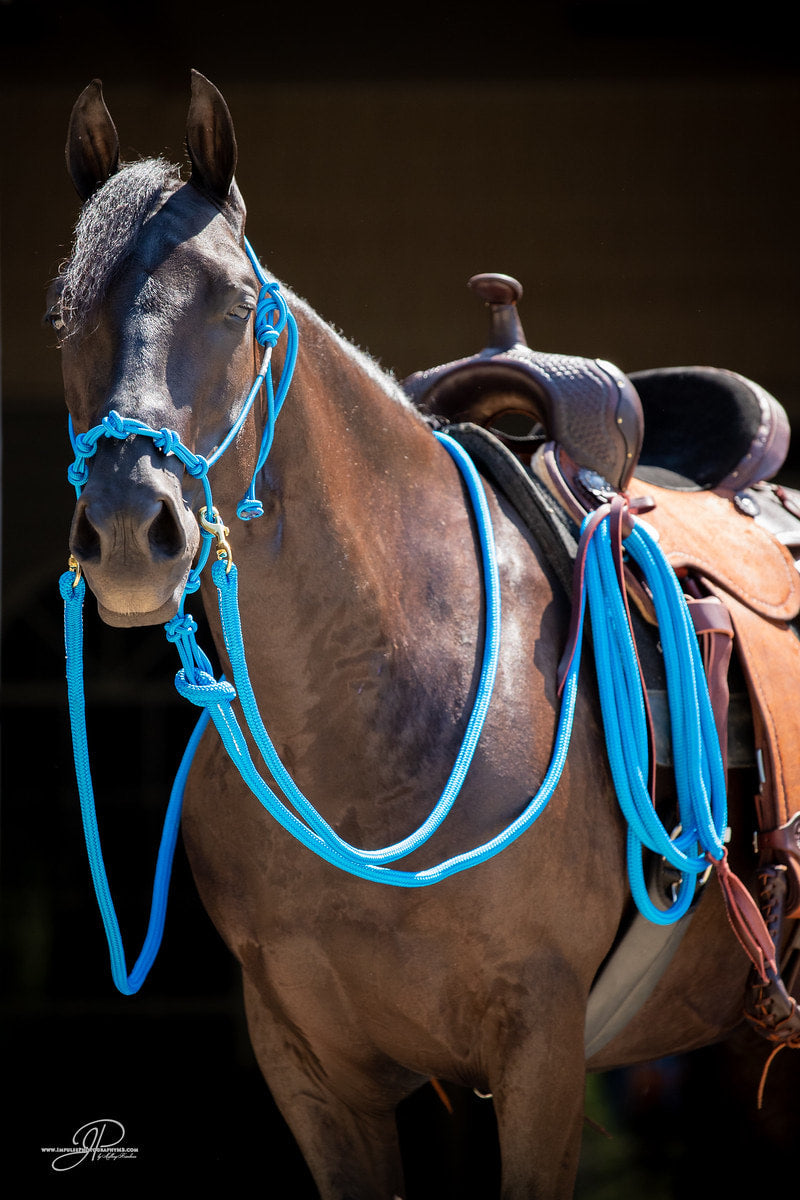 MG Halter, Lead Rope, Reins Full Set – Horse Help