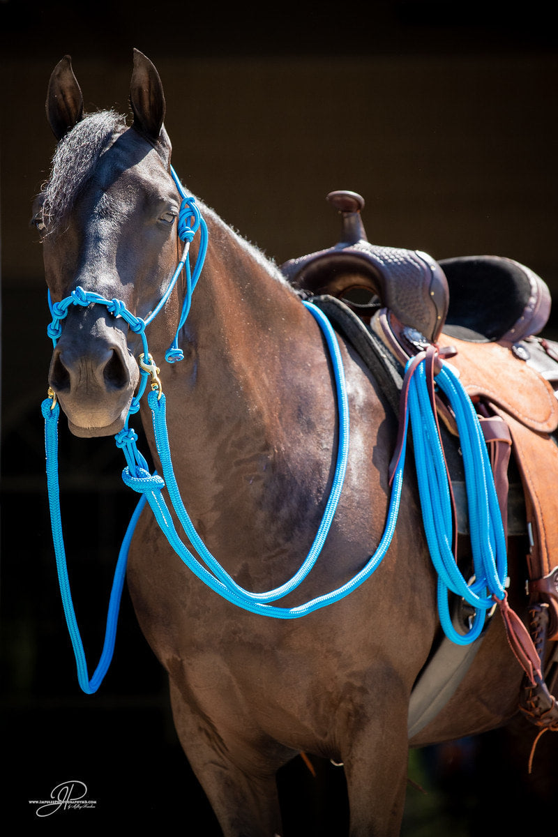 The Therapeutic Horse Halter With Copper/Magnetic Buttons - Leather