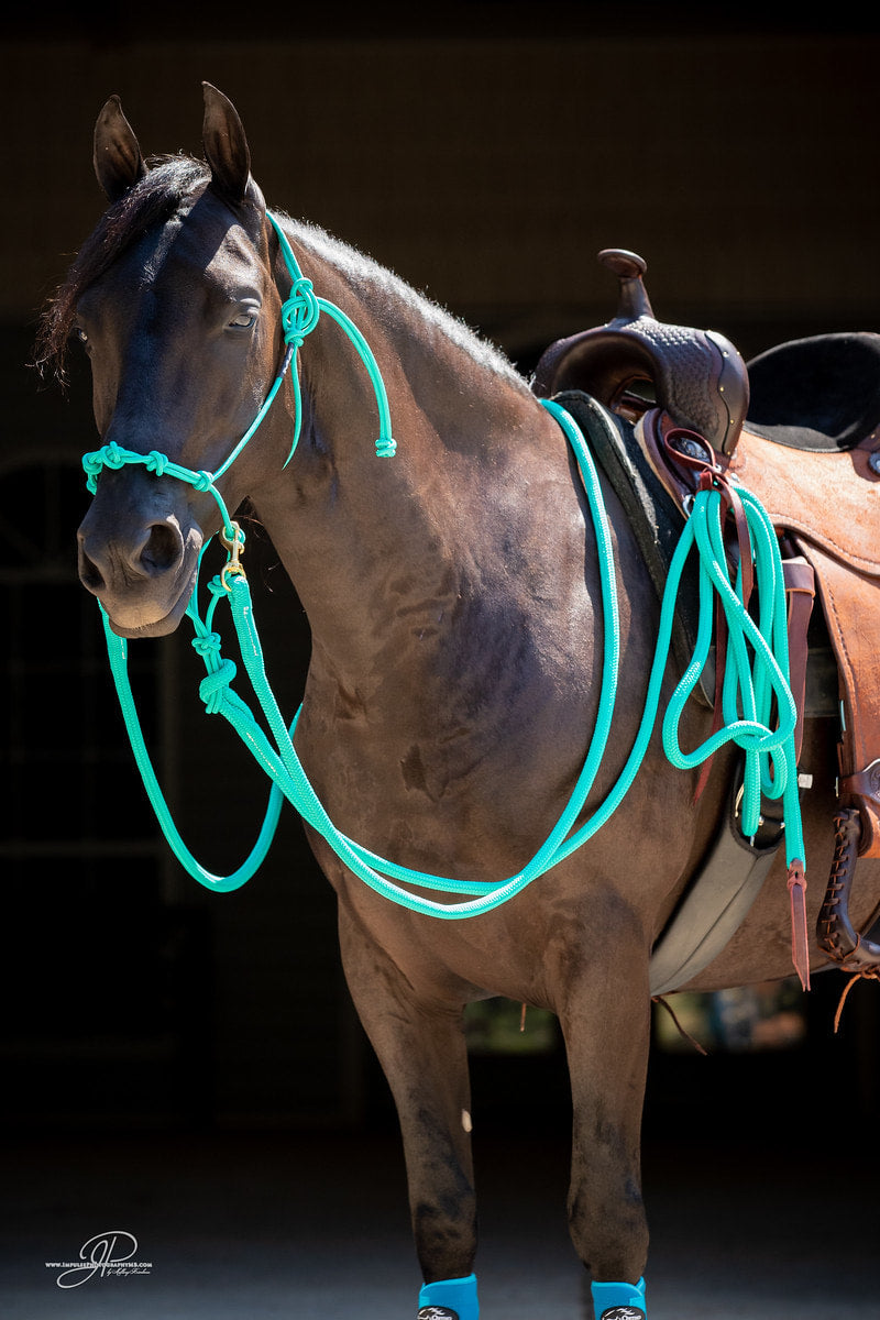 Cow Horse Supply Bridle Rig with String Rope Martingale CHS171