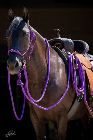 Image of the MG halter, lead rope, and reins full set in purple - a stylish and functional equestrian ensemble. Enhance your horsemanship with this sleek and reliable equipment from Michael Gascon.