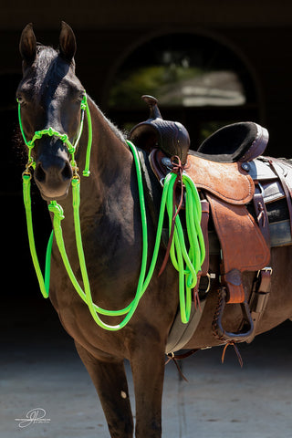 Image of the MG halter, lead rope, and reins full set in green - a stylish and functional equestrian ensemble. Enhance your horsemanship with this sleek and reliable equipment from Michael Gascon.