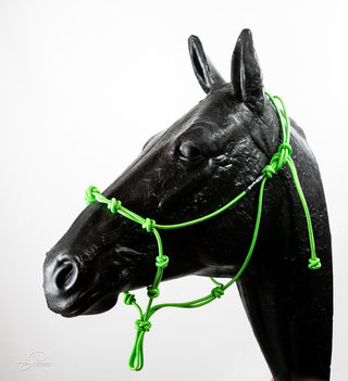 An green-colored MG Halter, a high-quality and durable tool for effective horse training.