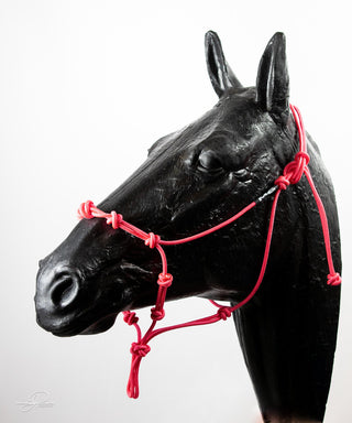 An pink-colored MG Halter, a high-quality and durable tool for effective horse training.