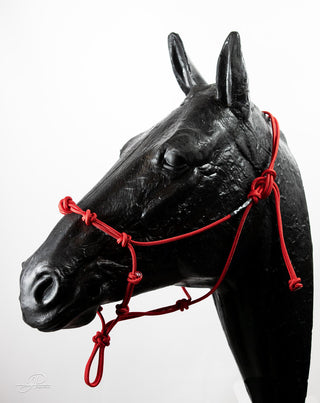An red-colored MG Halter, a high-quality and durable tool for effective horse training.